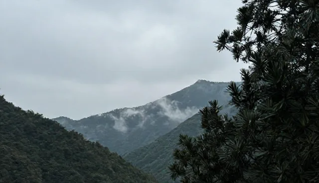 用户活跃度提升,数据整合是关键